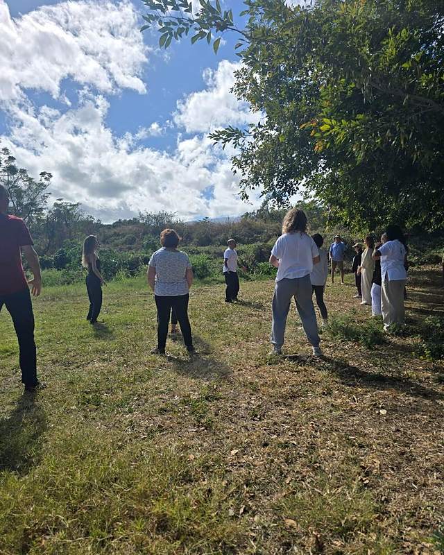 Groupe en mouvement pendant un cours de Qi Gong en plein air &agrave; La Saline-les-Hauts