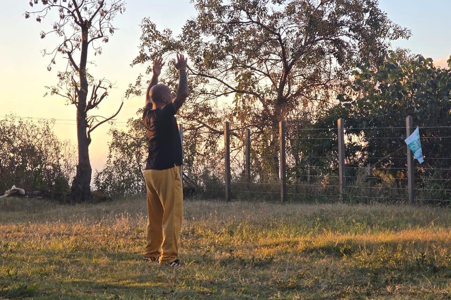 Pratique du Qi Gong en plein air, au lever du jour