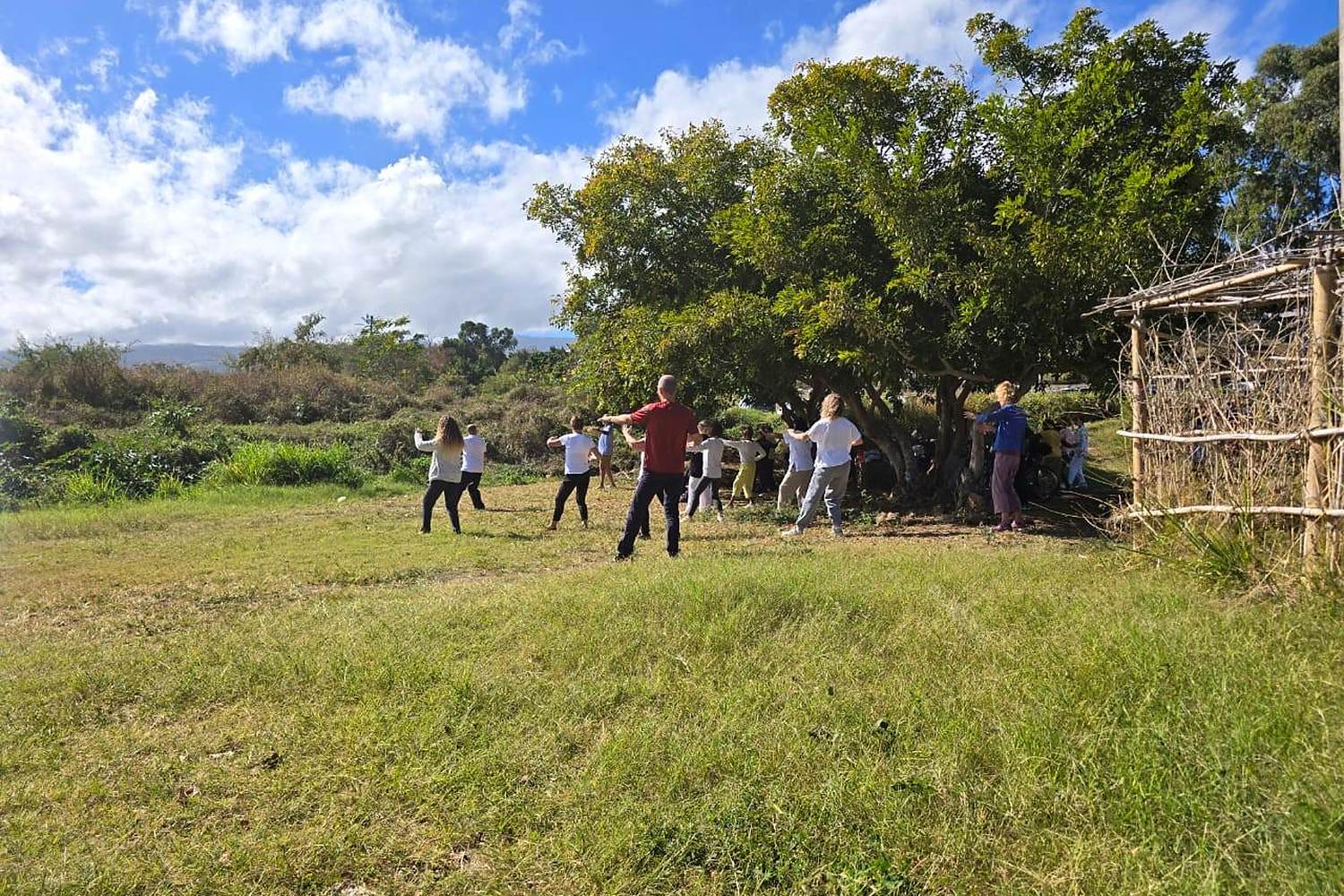 Pratique du Tai-Chi et du Qi Gong à AURA RÉUNION