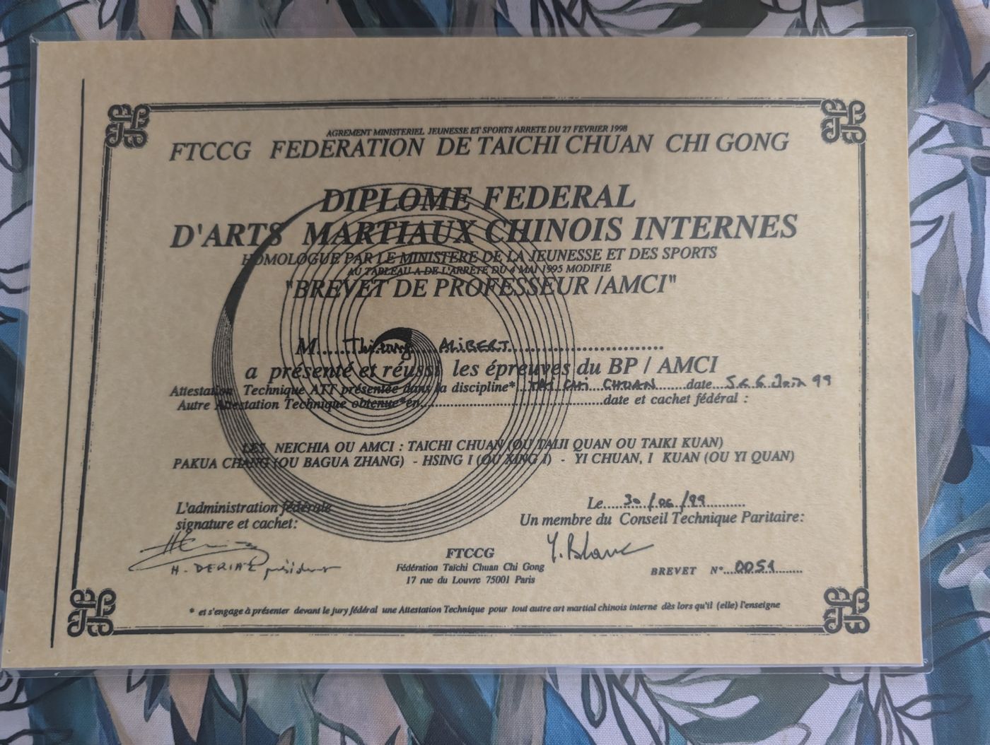 Brevet de Professeur FTCCG de Thierry Alibert, maître de l'école TAO